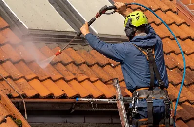 Démoussage et hydrofuge de toiture à Rovon